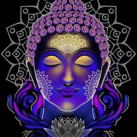 Meet your Posher, Onyx - Picture 1 of 1